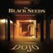 Suburban The Black Seeds Into the Dojo