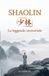 Shaolin - La leggenda immortale