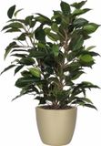 Mica Decorations Ficus plante artificielle - vert - 40 cm - avec pot de fleurs - or