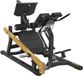 Toorx Professional Double hyperextension FWX 10500
