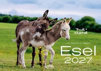 Esel Edition Lempertz Esel Kalender 2027