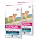 EUKANUBA Labrador Retriever Adult Droogvoer Hond 2x12 kg