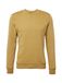 BLEND Sweatshirt mosterd / donkergeel