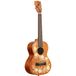 Kala Voyage Collection Gardenia Acajou Ténor ukulélé avec housse