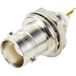 TRU COMPONENTS TC-10101488 BNC-connector Bus, inbouw verticaal 50 Ω 1 stuk(s)
