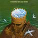 Introspection Luiz Bonfà - Introspection (LP)