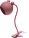Osram klemspot roze, staal, 220-240 V, E14, IP20