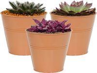 Mega Collections Plantenpot/Bloempot Bob - 3x - Zink - Terra - D15 X H13 cm