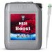 Hesi Boost 2,5 L Stimulateur de floraison