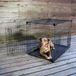 Lucky Dog Bench - zwart - 106x71x78 cm - met tussenschot - 2 deuren