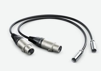 Blackmagic HYPERD/AXLRMINI2 - Audio kabel - 0,495 m - Zwart - 2 stuks