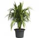 artevasi Venezia Cilindro plantenbak antraciet Ø 45 cm - kunststof
