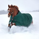 Rambo Original Turnout Lite 100g met beenuitsparingen - Groen 125/175