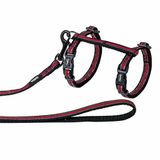 Nobby Reflect 53051-01 kattenharnas, rood