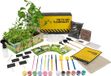 Ensemble de jardin complet sans marque pour enfants avec graines d'herbes, outils en bois, boîte de peinture et de culture en terre