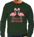 Bellatio Decorations Foute Kersttrui/sweater voor heren - Merry Christmas - groen - flamingo's S