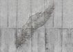 KOMAR Concrete Feather Vlies Fotobehang 350x250cm 7-Banen