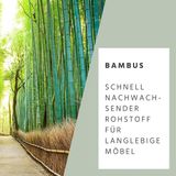 Wan GmbH Lade-inzetstuk bamboe verstelbaar 33-45 cm - ladeverdeler keuken Kleine opbergoplossing