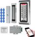 Système de contrôle d'accès WLAN avec serrure à code, technologie RFID, protection IP68, capacité de charge 180 kg