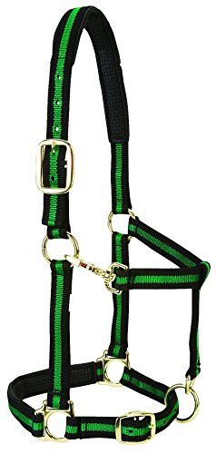 Weaver Leather Gewatteerde Verstelbare Nylon Paardenhalter - Groen - 1" - Klein Paard
