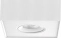 Artdelight Spot Brooklyn 1 lichts Dim-To-Warm wit
