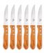 Berlinger Haus SET DE COUTEAUX À STEAK 6 pièces BH-2106