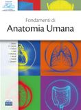 Fondamenti di anatomia umana. Con software di simulazione