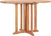 Table de jardin pliable 120x70x75 cm teck massif
