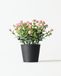 HEMA Plante Artificielle À Petites Fleurs 15 cm (vert)
