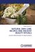 Natural Lap Lambert Academic Publishing Natural Skin Care Recipes and Ancient Beauty Rituals