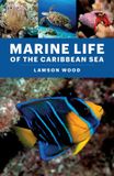 Marine Princeton University Press Marine Life of the Caribbean Sea Paperback