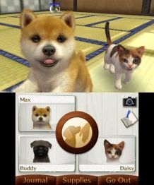 Nintendo Poodle+Nf Select Fra 3Ds - 0045496528676