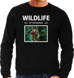 Bellatio Decorations Bol Dieren foto sweater Orang oetan aap - zwart - heren - wildlife of the world - cadeau trui Orang oetans liefhebber XL