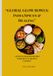 GLOBAL GLOW BOWLS India Spices & Healing: AESTETIC HEALTHY RECIPES FOR JOYFUL & MINDFUL COOKING