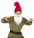 Boland Kabouter set - baard - wit - puntmuts - rood - carnaval - verkleden