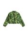 THE NORTH FACE Fleece jas 'EXTREME PILE' vert / vert clair / vert foncé