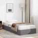 vidaXL - Ottoman Bedframe - met opslag - Grijs - 100 x 200 cm - Kunstleer