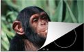 Merkloos KitchenYeah® Inductie beschermer 77x51 cm - Close-up etende chimpansee aap - Inductie kookplaat accessoire