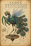 CODEX Libri GmbH Codex Seraphinianus Decoded Paperback