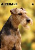CalendarsRUs Airedale Terrier Kalender 2027 A3