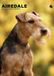 CalendarsRUs Airedale Terrier Kalender 2027 A3