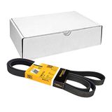 CONTITECH 6PK2175 V-riem
