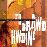 Music&Words Crai Various Artists - Y Brawd Hwdini (CD)