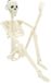 vidaXL Halloween Skelet 2 stuks Wit 85 cm PVC