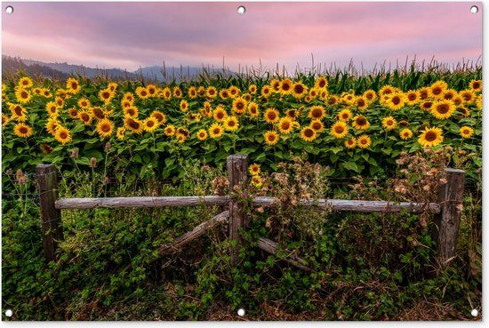 GreatGardenPosters Tuinposter - Zonnebloem - 120x80 cm - Tuin - Muurdecoratie - Outdoor