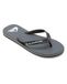 QUIKSILVER Teenslippers 'Molokai Core' donkergrijs / wit