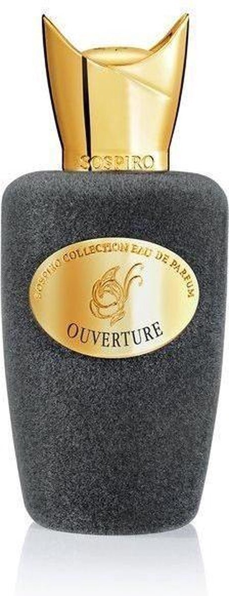 Xerjoff Ouverture Eau de parfum 100 ml