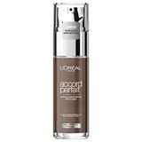 L'Oréal Paris True Match Foundation 11.N Dark Coffee