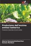 Produzione dell'enzima amilasi batterica: Produzione industriale di enzimi amilasi