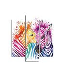 Homemania Wandafbeelding, zebra, 3-delig, dieren, woonkamer, slaapkamer, meerkleurig, 57 x 0,3 x 60 cm, HM203MDF96, MDF